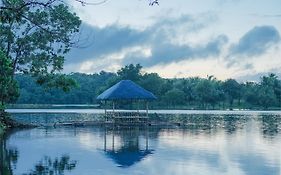 Almost Heaven Lake By Cocotel Cavinti